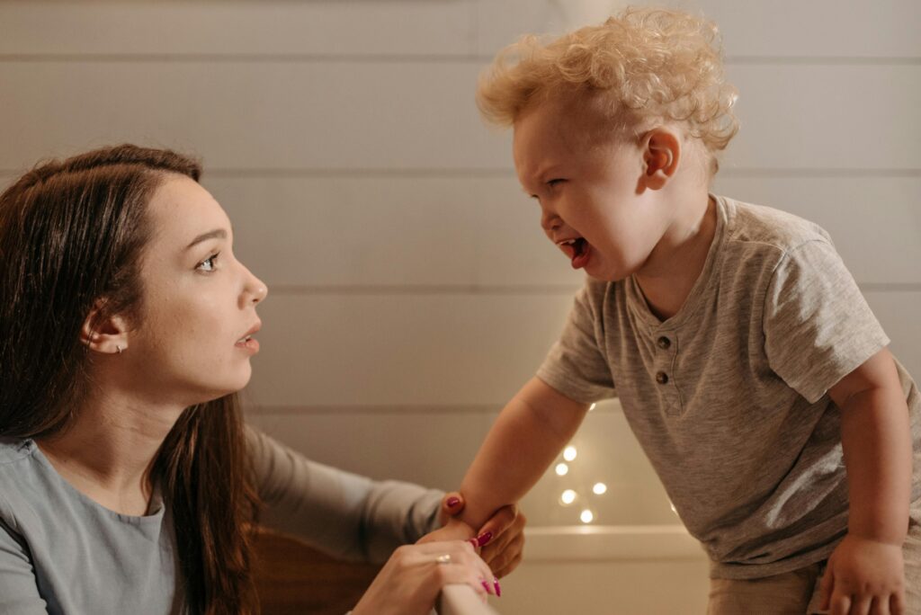 Fight Flight Freeze Fawn: Your Kid Is Not Being Difficult, They Are Dysregulated